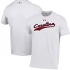 Men's Under Armour White South Carolina Gamecocks Baseball Script Performance T-Shirt