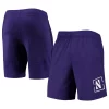 Men's Under Armour Purple Northwestern Wildcats Mesh Raid Performance Shorts